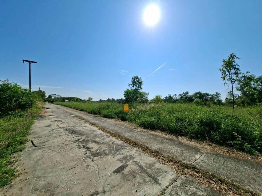 ขายที่ดินเปล่า ซอยสะพานเหลือง(คลองแอน คลอง4) คลองหลวง 2