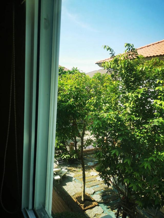 ฮาบิเทียแค่❤️3.98 บางใหญ่นน ทิศใต้ (ทิศมังกร) ✍🏻 3.98 ล้าน 3นอน 2 น้ำ 50 ตรว. พื้นที่ใช้สอย 180 ตรม. 12