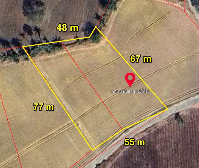 ขายที่ดินบึง หนองแขวะติดถนนคอนกรีต 1 ไร่ 3 งาน ใกล้ถนนเส้น3009-850เมตร อ.ศรีราชา ชลบุรี 6