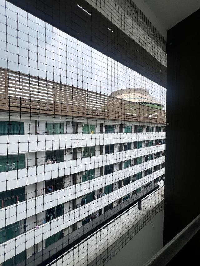 Plum Condo Phaholyothin 89 พลัมคอนโด พหลโยธิน 89, ปทุมธานี 22.52 ตรม. 6