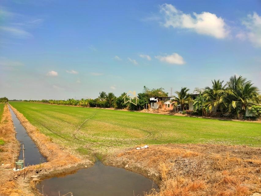 ขาย ที่ดิน 21 ไร่78 ตารางวา อ.ไทรน้อย จ.นนทบุรี ราคาถูกกว่าราคาตลาด 2