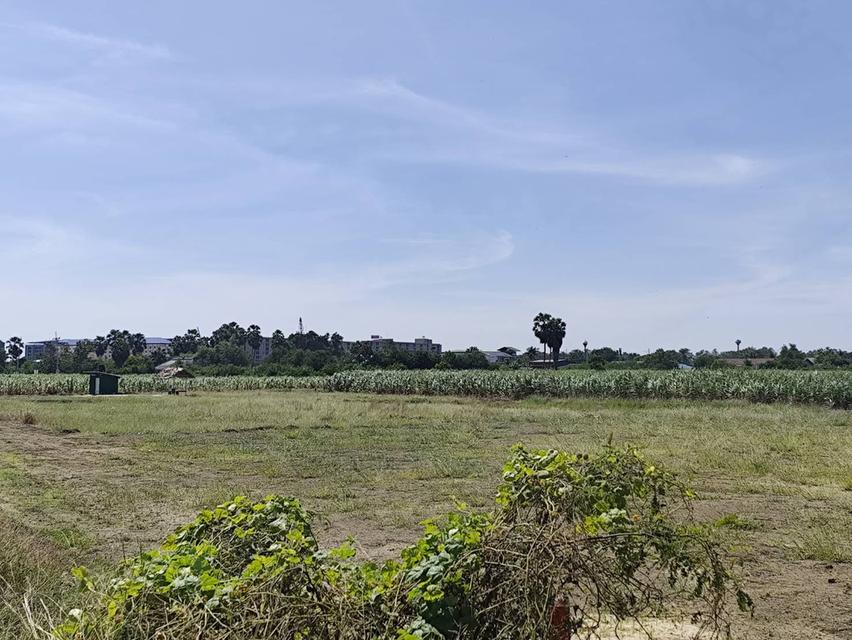 land for sale ขายที่ดินสวยมาก กำแพงแสน แบ่งขายได้ โฉนดพร้อมโอน 200 ตรว แบ่งขายได้ 14