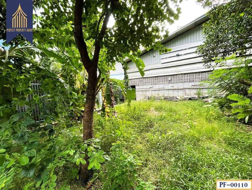 ขายโกดังโรงงาน มือสอง โกดังเฟอร์นิเจอร์ พร้อมใบ รง.4 ลาดหลุมแก้ว ปทุมธานี 16