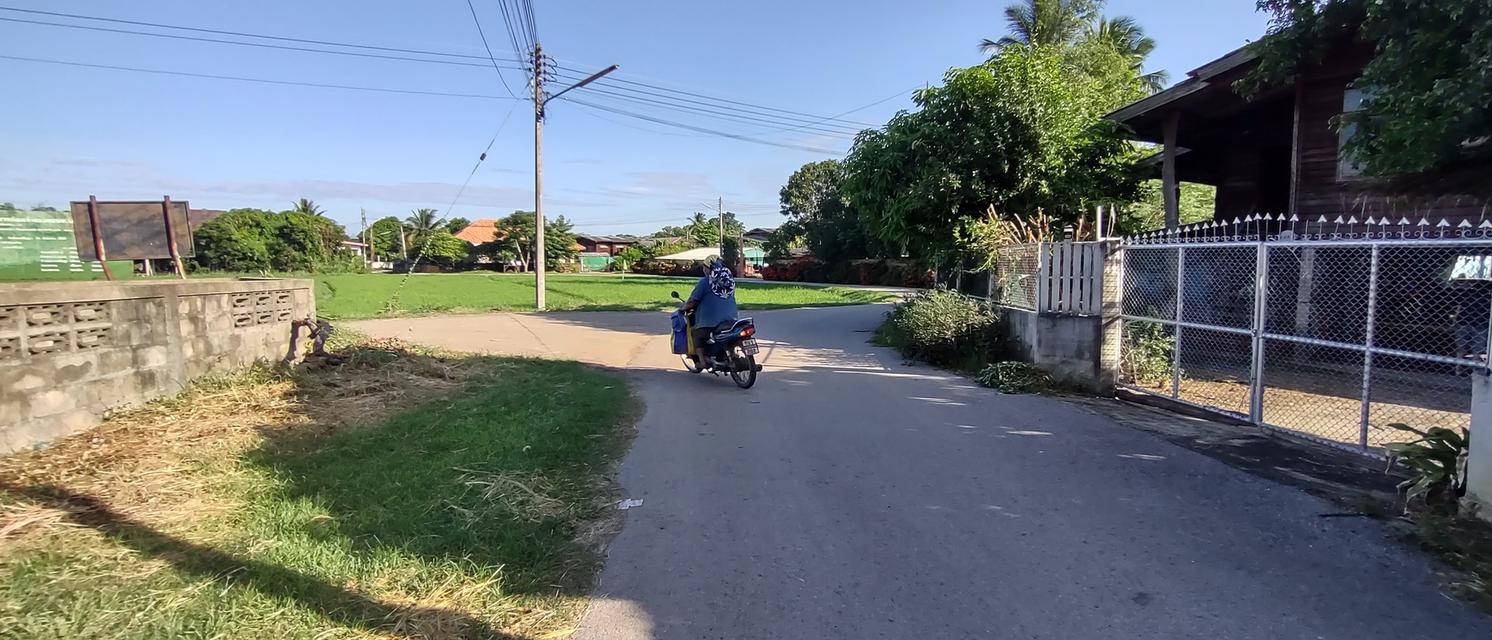 ที่สำหรับสร้างบ้าน 115ตรว 490,000อยู่บ้านนาแก้วตะวันออก ต.นาแส่ง อ.เกาะคา จ.ลำปาง วิวเขา วิวทุ่งนา อยู่กลางชุมชนห่างถนนพหลโยธิน 80เมตร ห่าง7-1 20