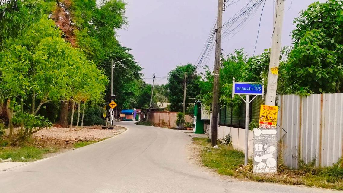 ขายที่ดิน200ตรว.คลองสาม 11/6 1