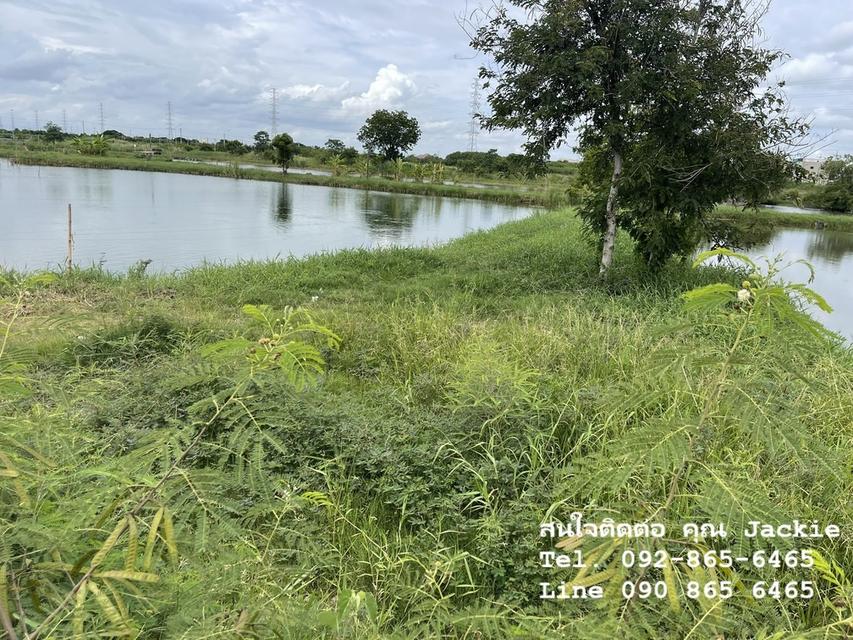 ที่ดินเปล่า โฉนดครุฑแดง ติดนิคมอมตะซิตี้ชลบุรี (ผังสีม่วงอ่อนจุดขาว) 2