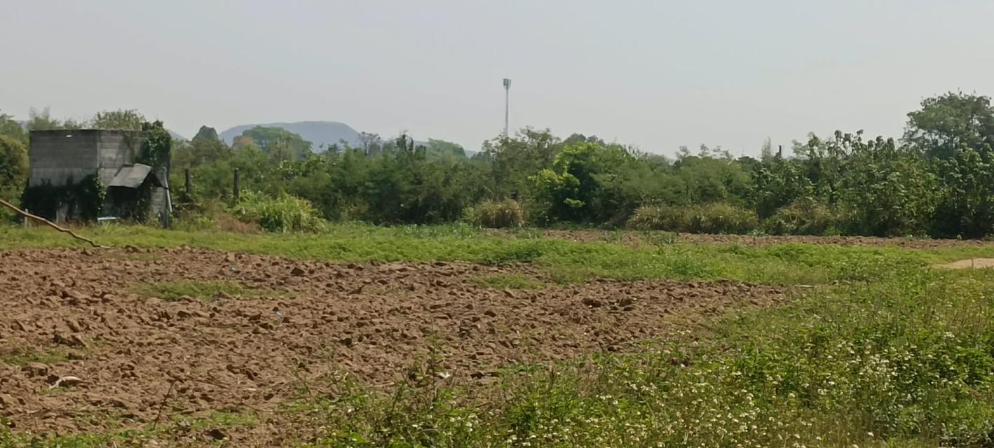 บ้านพร้อมที่ดินจังหวัดลำพูน 6