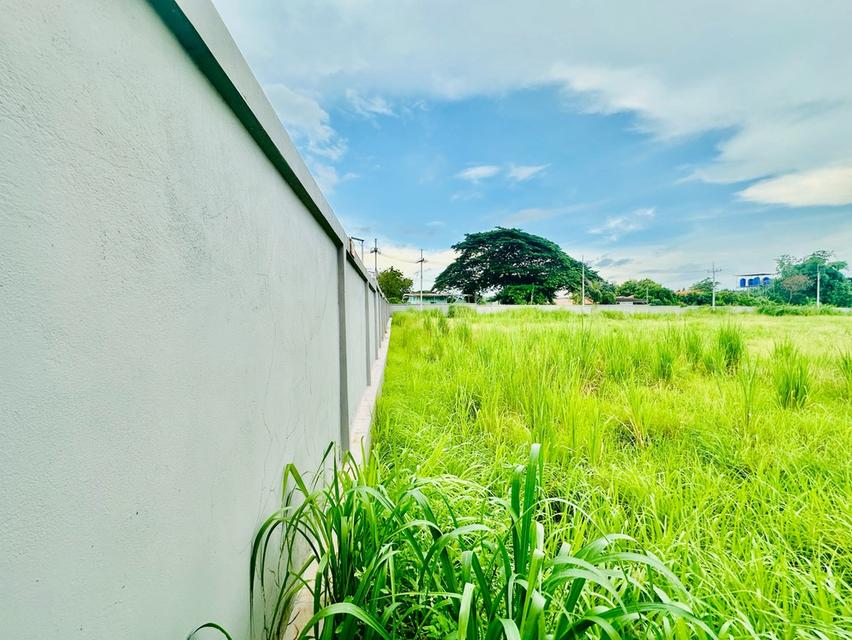 ขายที่ดินชลบุรี เขตพื้นที่ EEC เนื้อที่ 9-1-70 ไร่ ถนนดอนนุ่น ตำบลบึง อำเภอศรีราชา ใกล้นิคมอุตสาหกรรมปิ่นทอง 2 11