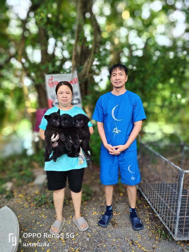 🐶 #บริการรับส่งสุนัขและแมวเท่านั้นทั่วไทยมีรถทุกวัน 📲 0867441143 นเรศ ID LINE : 0867441143 รับลงเครื่องส่งอยู่ต่างจังหวัดเดินทางด้วยรถไฟฟ้าแยกบล็อค