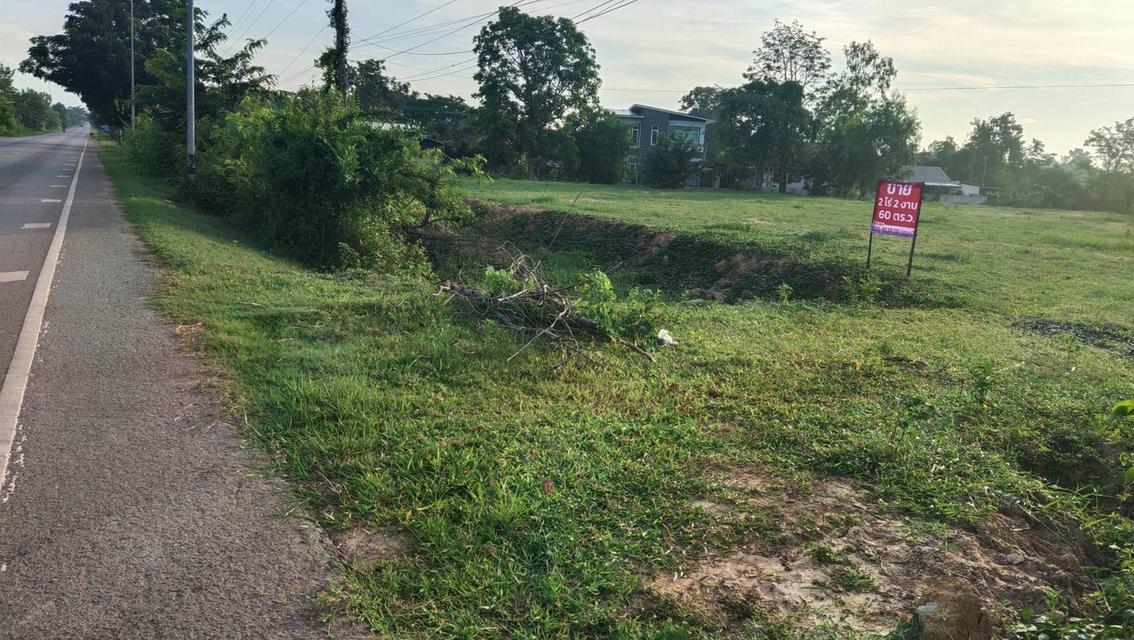 ที่ดินเปล่า 2 ไร่ 2 งาน 60 ตรว. ติดศูนย์ราชการอำเภอนามน จังหวัดกาฬสินธู์ 2