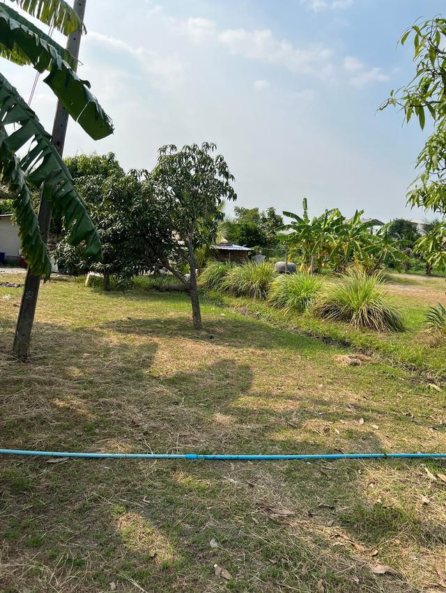 ขายที่ดินเปล่าถมแล้ว ติดถนนพระราม 2 ใกล้ทางด่วนกาญจนาภิเษก-วงแหวนอุตสาหกรรม 9