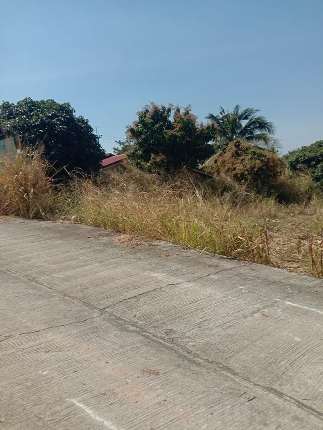 บ้านพร้อมที่ดิน คลองสอง วังน้ำเขียว 2