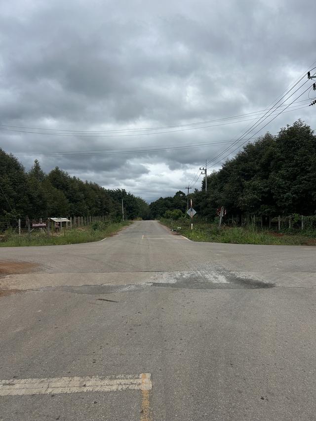 ขายสวนทุเรียน ชำฆ้อ หมู่5 เขาชะเมา 1