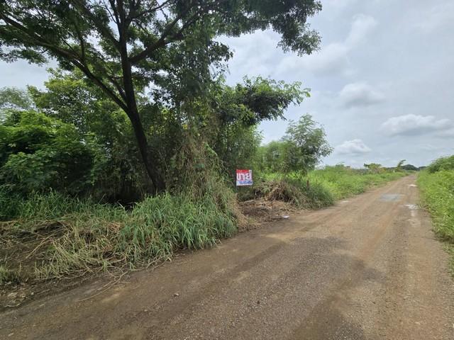 ขายที่ดินถมแล้ว 100 ตร.ว คลองห้า ปทุมธานี ทำเลดี ใกล้ราชมงคล 2