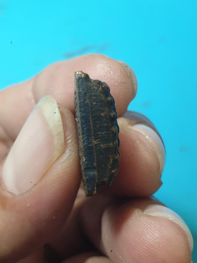 หลวงพ่อทวด หลังหนังสือ วัดช้างให้  ปี24