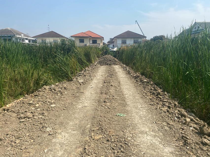 ขายที่ดินทำเลดีติดหมู่บ้านจัดสรร. หมู่บ้านเพรชเกษม3 ซอย27เหมาะสำหรับทำหมู่บ้านจัดสรรเนื้อที่เกือบ4ไร่. ขายตารางวาละ26, 000บาท 5