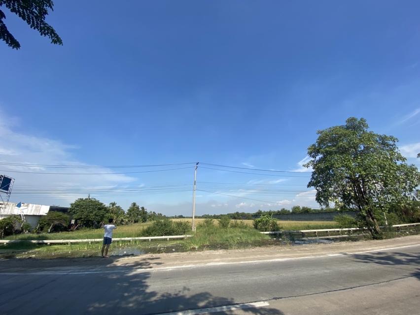 ขายที่ดิน42ไร่ นนทบุรี 2