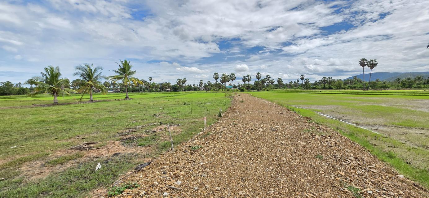 📢ที่ดินสวย🎯วิวภูเขา⛰ทุ่งนาป่าตาล🌴บรรยากาศดี🏞อุดมสมบูรณ์ 🌟2ไร่2งาน24ตรว.👑 ในชุมชน🧘ติดถนน🏡หมู่บ้าน ใกล้ไฟฟ้า🛜ประปา🌊คลอง🏧สาธารณูปโภค 5