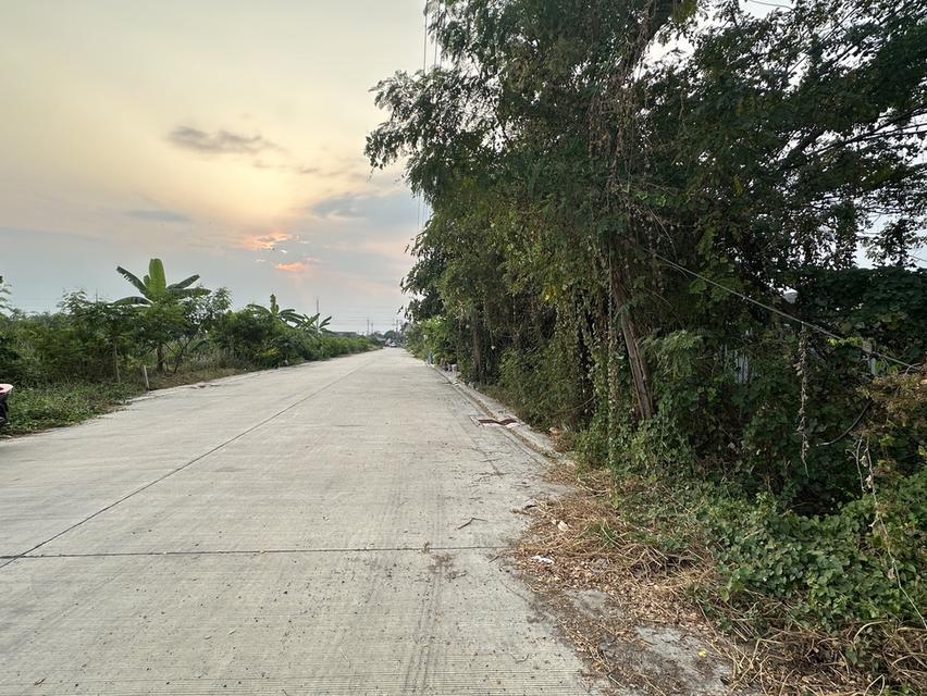 ที่ดินไม่มีสิ่งปลูกสร้าง 3