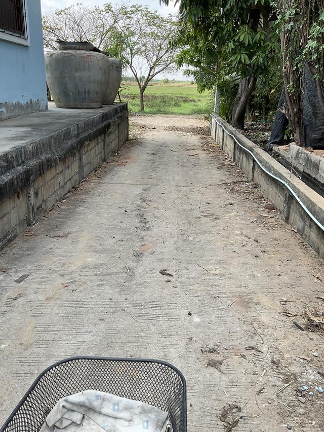 ขายที่ดิน 7 ไร่ ต.โบสถ์ อ.พิมาย จ.นครราชสีมา 2