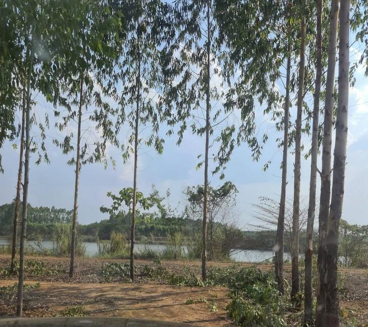 ที่ดินเปล่า ถนนสระแก้ว-เขาหินซ้อน ต.สระแก้ว อ.เมืองสระแก้ว จ.สระแก้ว 5