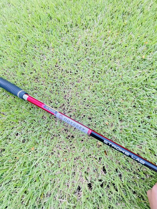 พัตเตอร์ ODYSSEY ยาว34มือซ้ายมีตำหนิตรงก้านนิดหน่อย 7