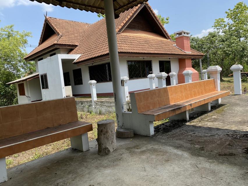 บ้านพร้อมที่ดิน 8