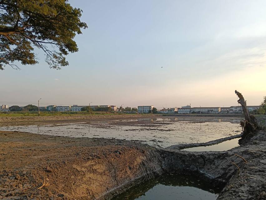 ขายที่ดิน 2 แปลง บางบัวทอง ติดหมู่บ้านเมืองทองธานี 3