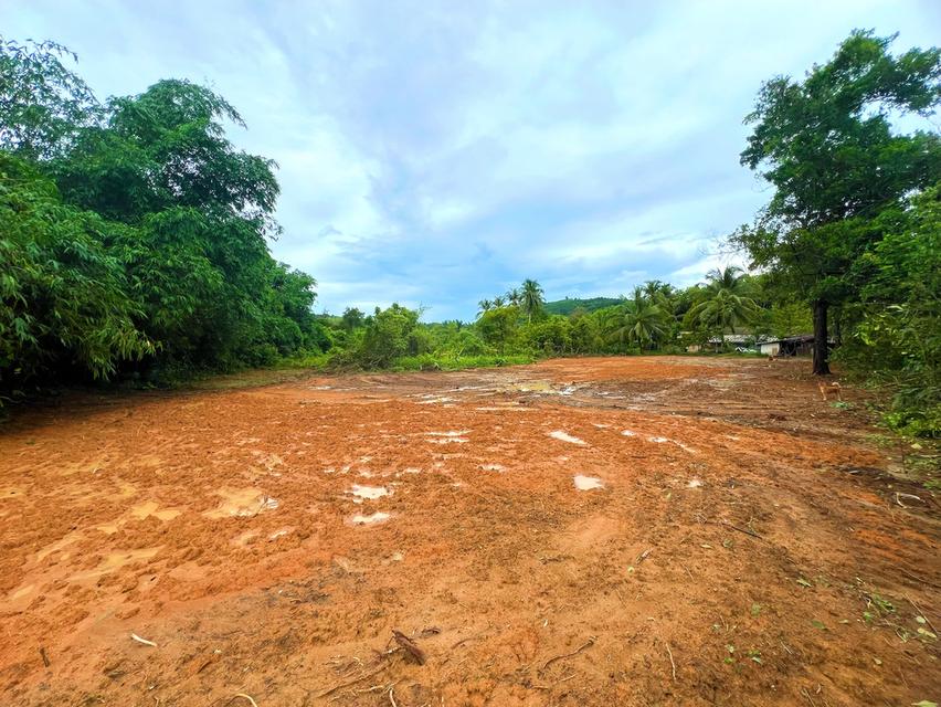 ที่ดิน บางมรวน ตะกั่วป่า พังงา 1