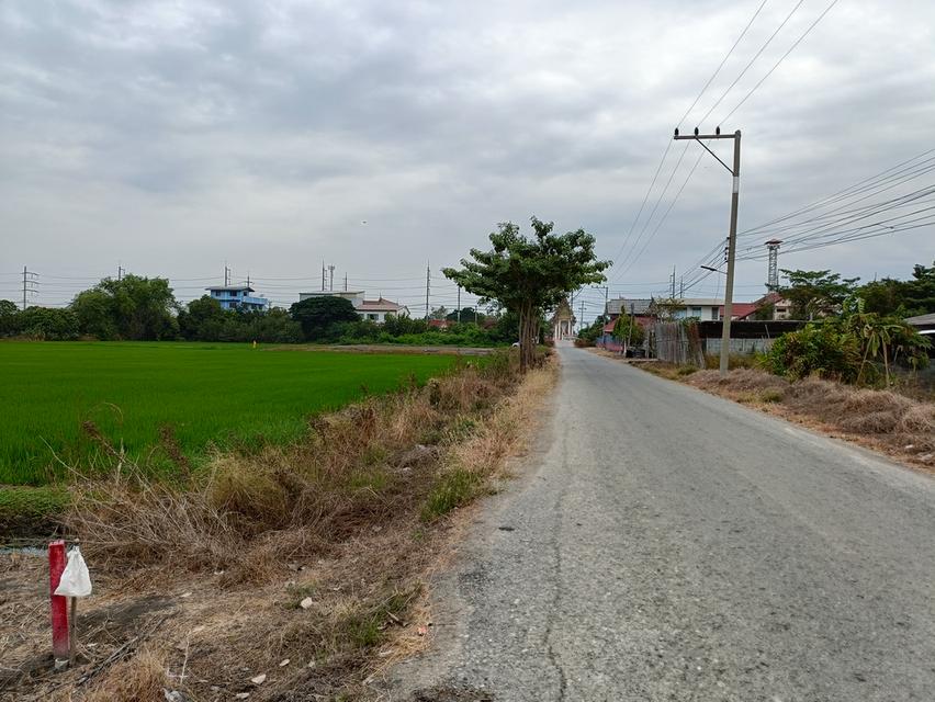 ขายที่ดินสุพรรณบุรี อ.สองพี่น้อง 4