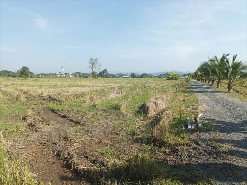 ขายที่ดิน5ไร่ วิวสวย ต.ป่าป้อง อ.ดอยสะเก็ด จ.เชียงใหม่ 11