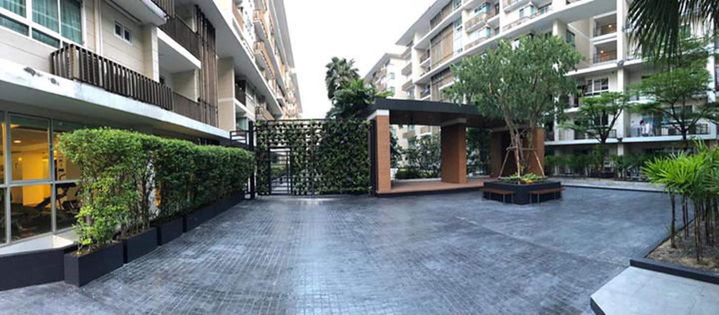 For rent  The Clover Thonglor 2