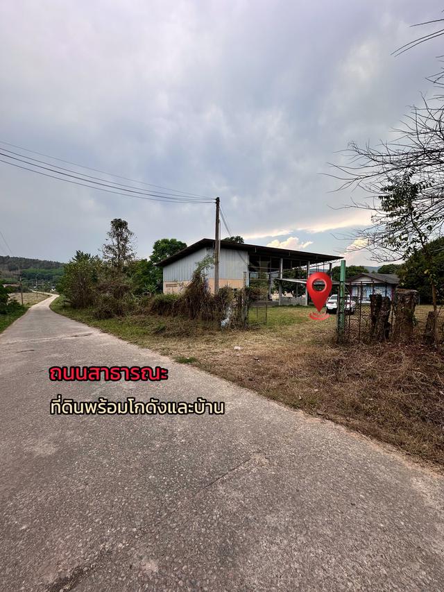ขายที่ดินเปล่าพร้อมโกดังและบ้าน บ้านจำปู ต.เจริญเมือง อ.พาน จ.เชียงราย 57120 5