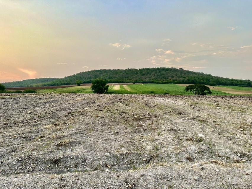 ที่ดิน แก่งคอย สระบุรี สด ผ่อนได้  15