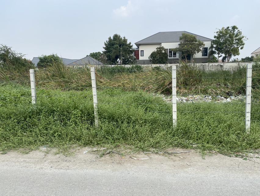 ขายที่ดิน 1 ไร่ ถนนนวมินทร์ ใกล้ทางด่วนเอกมัยรามอินทรา 098 7755 808 11