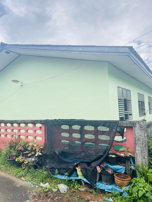 ที่ดิน 4