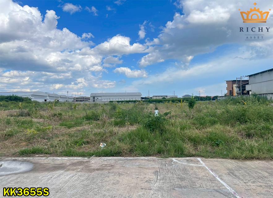 ที่ดินสวย 4 ไร่เศษ สีม่วงขอใบ รง.4 ง่าย+ขายต่อสะดวก เด่นสง่าหน้ากว้าง ถมแล้วพร้อมใช้ ในสวนหลวง ใกล้สาย 4 ตัดใหม่ กระทุ่มแบน- KK3655S 3