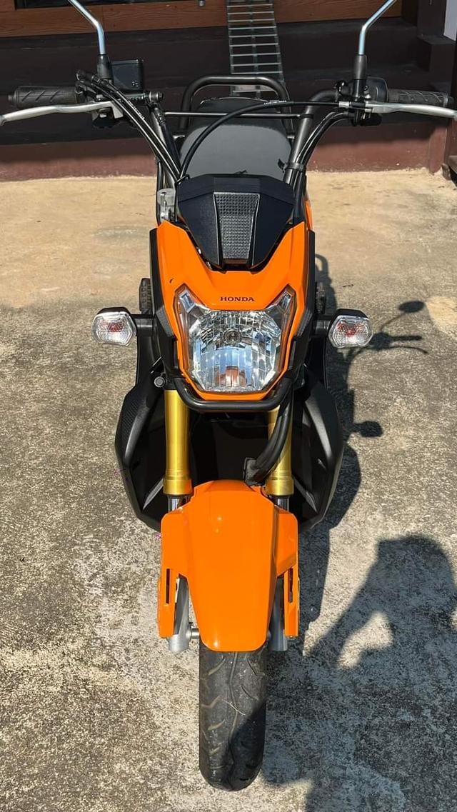 Honda zoomerx สีส้ม