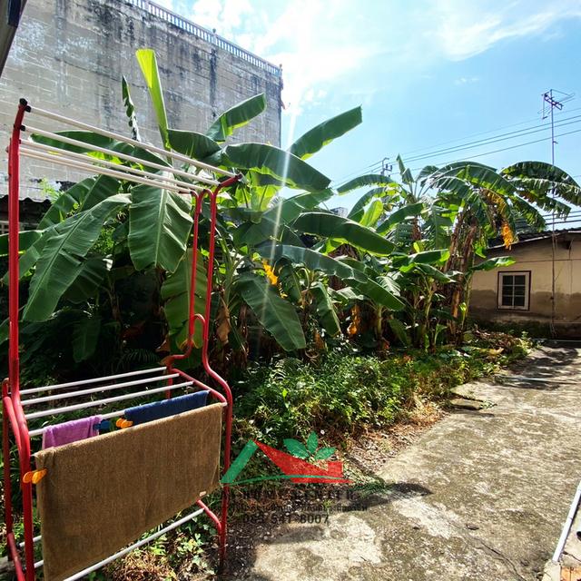 ขายบ้านสร้างเองพร้อมล็อคขายของ ขนาด70ตรว. ถ.ช่างอากาศอุทิศ แยกศิริสุข ทำเลดี ราคาพร้อมคุย 14