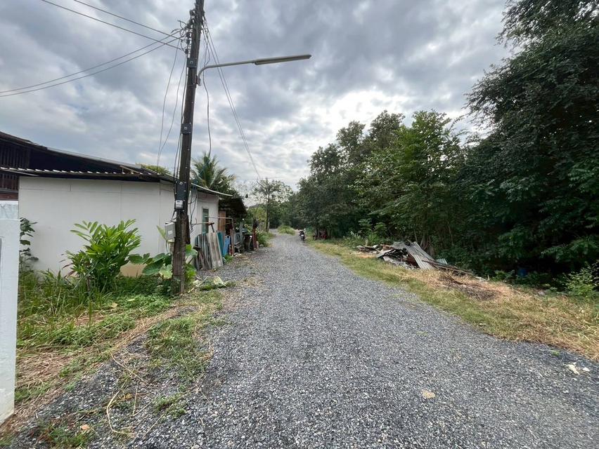 ขายที่ดินเปล่า ซอยท่ามะกอก หนองแค สระบุรี 6