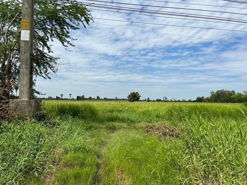 ขายที่ดินติดถนนมิตรภาพตำบลตาจั่น อำเภอคงจังหวัดนครราชสีมา ขนาดที่ดิน 16 -​0 -​43 ไร่ 5