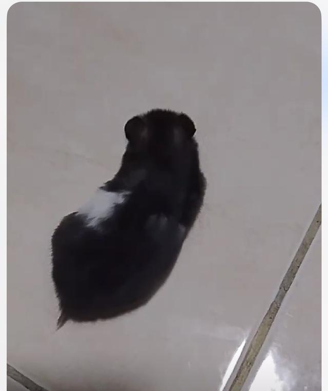 ไจแอ้นๆๆๆๆๆๆๆๆๆๆๆๆๆๆๆๆๆๆๆ 2