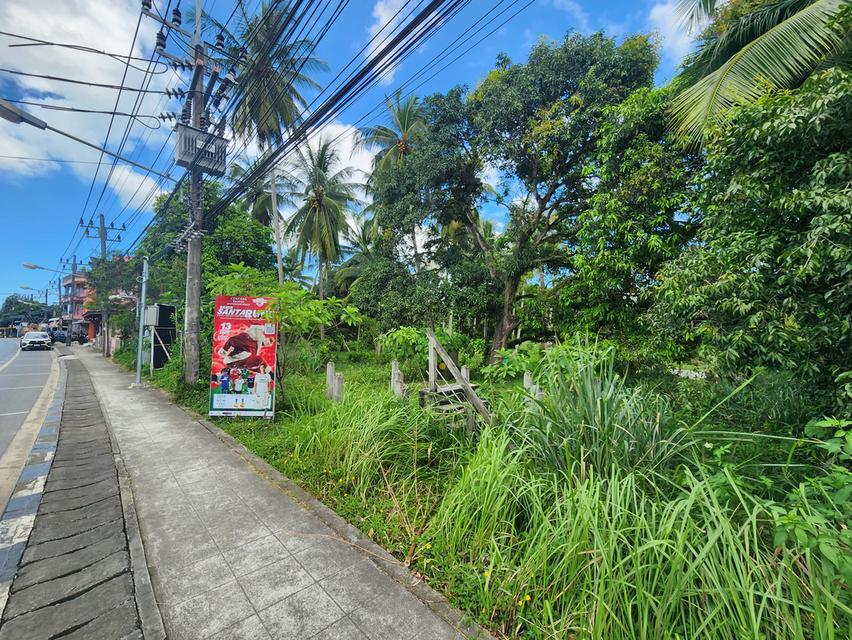 ขายที่ดินติดถนนรอบเกาะสมุย 8