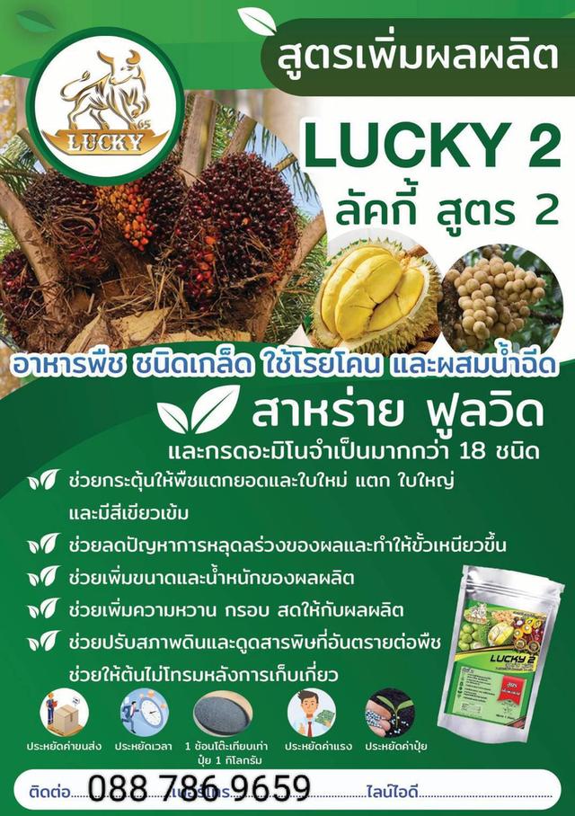 ปุ๋ยเกล็ดลักกี้ ลักกี้ LUCKY 6