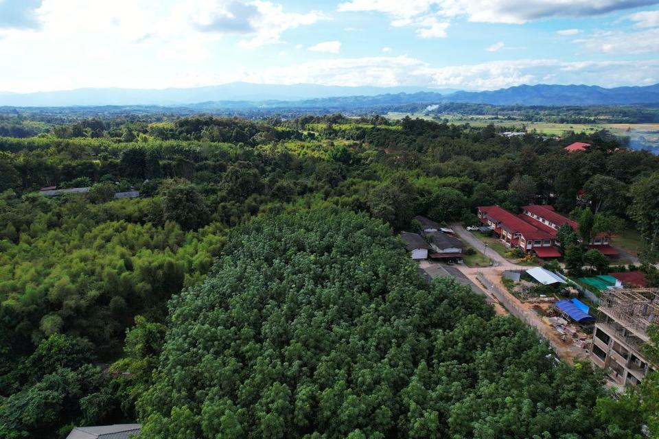 ขายที่ดินสวนยาง 2.40 ไร่ พร้อมโฉนด เหมาะแก่การลงทุน หลังวิทยาลัยการอาชีพปัว ต.ปัว จ.น่าน  15