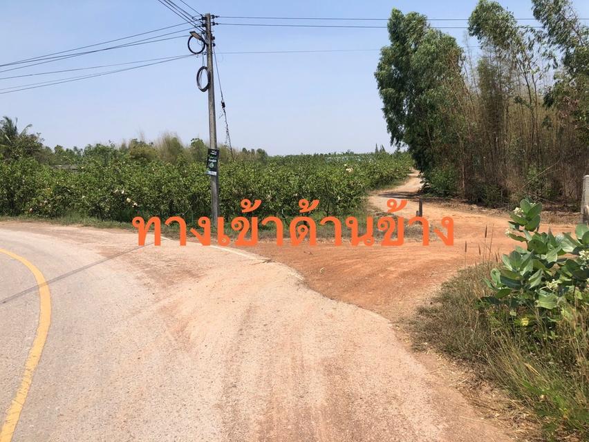 ขายที่ดิน เนื้อที่ 15-2-43 ไร่ (ครุฑแดง) 5