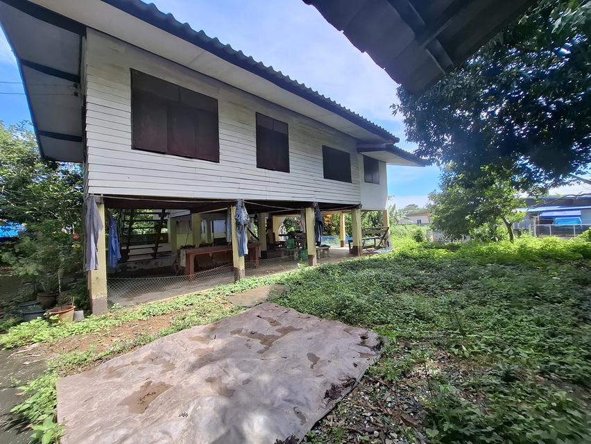 ขายบ้านพร้อมที่ดินฉโหนดพร้อมโอน 1