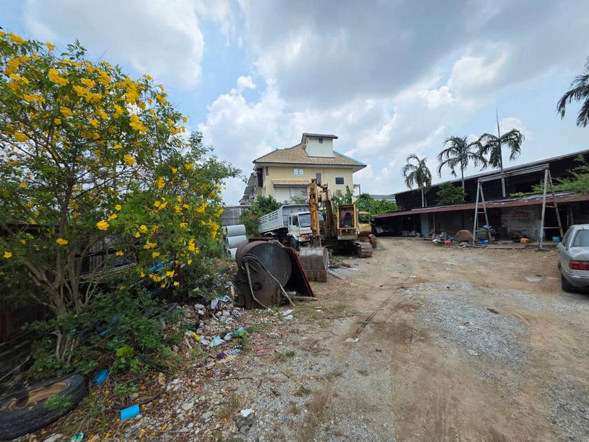 ขายที่ดินหน้ากว้าง 38 เมตร 244 ตารางวา ทำเลทองถนนสุขาภิบาล 5 (โซนวัชรพล-สายไหม) แขวงท่าแรง เขตบางเขน ใกล้จุดขึ้นลงทางด่วน ด่านสุขาภิบาล 5 4