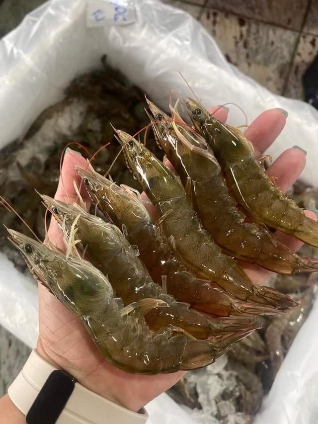 กุ้งขาว คุณภาพดี เนื้อแน่น 2