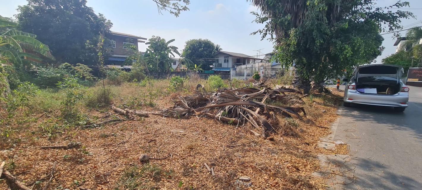 ขายที่ดิน 100 ตารางวา ตำบลท่าวาสุกรี (คลองสระบัว) อำเภอพระนครศรีอยุธยา จังหวัดพระนครศรีอยุธยา 3